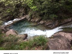 -大奇山国家森林公园