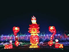 -淄博花灯齐彩城