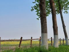 -汉长安城未央宫国家考古遗址公园