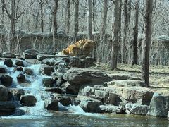 -北京野生动物园