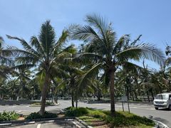 -西秀海滩公园