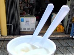 -洪馨椰子