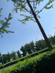 -HEYAN长风荷妍专业脱毛美肤
