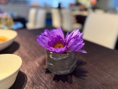-大董(深圳湾万象城店)