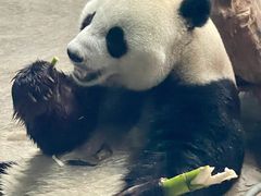 -石家庄市动物园