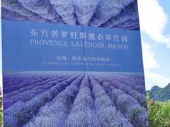 -北京东方普罗旺斯薰衣草庄园