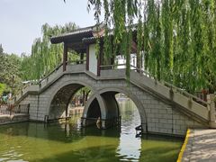 -团结湖公园