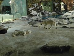 -珠海长隆海洋王国
