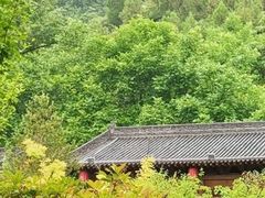 -大水川景区