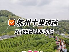 -十里琅珰