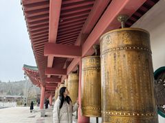 -龙口南山旅游景区
