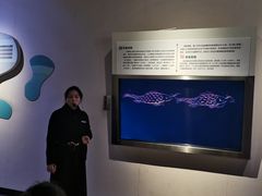 -白鹤梁水下博物馆