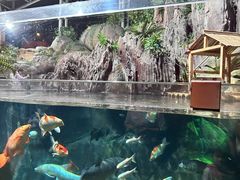 -上海海洋水族馆-停车场