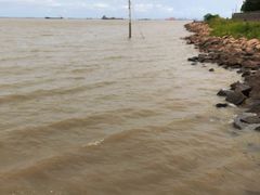 -上海滨江森林公园