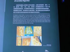 -秦始皇帝陵博物院(兵马俑)