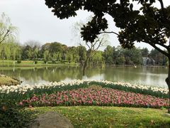 -上海鲜花港
