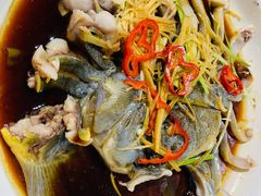 -煲来饱去冷水鱼