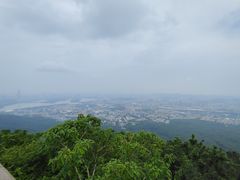 -紫金山山顶公园