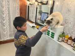 -共舞时光猫咖·狗咖(新街口店)