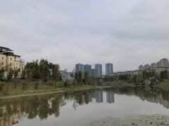 -东岳体育公园