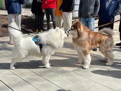 -璐坊粽王(复兴中路店)