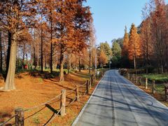 -贵阳市花溪国家城市湿地公园