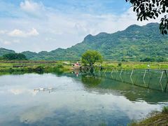 -上海佘山国家森林公园天马山园