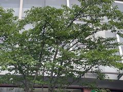 -星巴克臻选(苏州汇豪店)