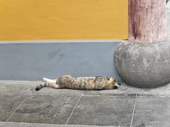 -龙华素斋(龙华路店)