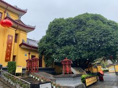 -桂林独秀峰王城景区