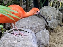 -海合安武汉极地海洋公园