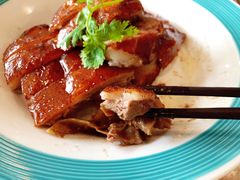 -椿记烧鹅(叠彩店)