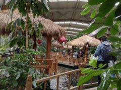 -南宫五洲植物乐园