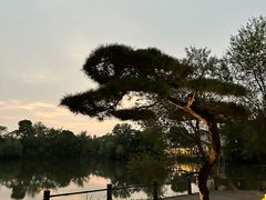 -新荣记(西溪湿地店)