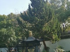 -秋霞圃