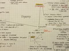 -JT PREP国际学科课程·IB·AP·Alevel(陆家嘴校区)