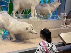 -Behring World of Animals(上海自然博物馆店)