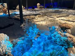-中国（海南）南海博物馆