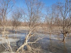 -永定河休闲森林公园