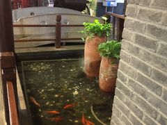 -南京时尚莱迪购物广场(正洪街店)