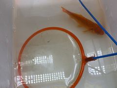 -风云再起游乐汇(南京常发广场店)