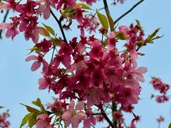 -梁鸿国家湿地公园