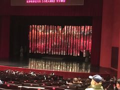 -合肥大剧院