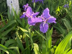 -辛玛王国游乐园