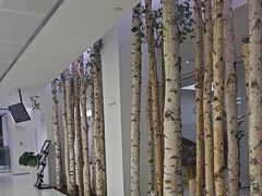 -极简口腔(总院)