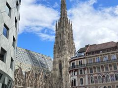 -斯蒂芬主教座堂(Stephansdom)