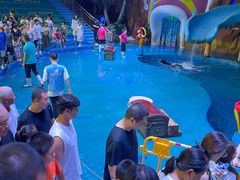 -烟台海昌鲸鲨海洋公园