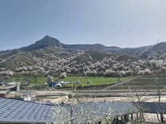 -中华福寿山