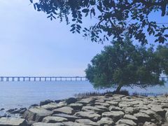 -宝安西湾红树林湿地公园