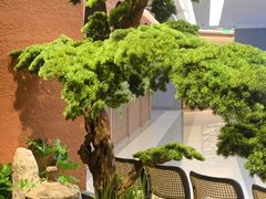 -许爷家·生态湖鲜(徐汇日月光店)